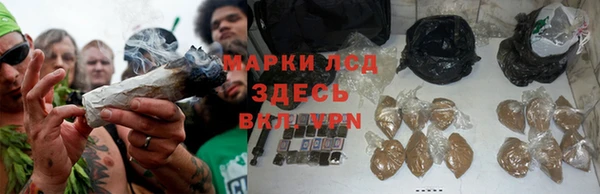 спайс Елизово