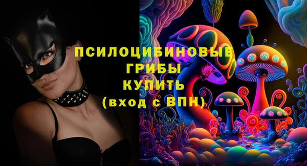 спайс Елизово