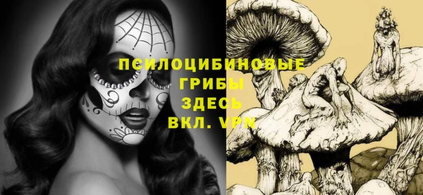 a pvp Козельск