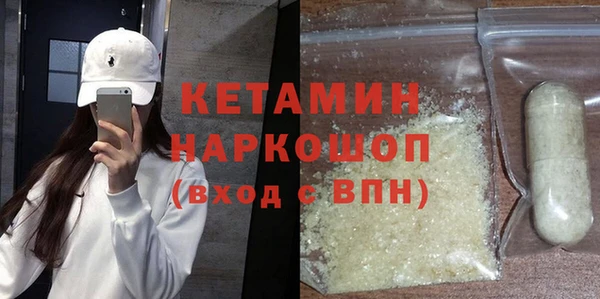 индика Гусев