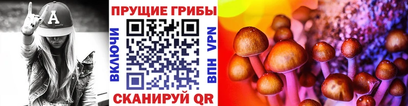 blacksprut   где продают   Валуйки  Галлюциногенные грибы Cubensis 